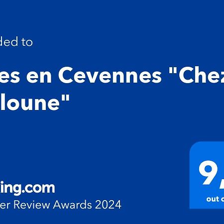 Gites En Cevennes "Chez Steloune" Genolhac ภายนอก รูปภาพ