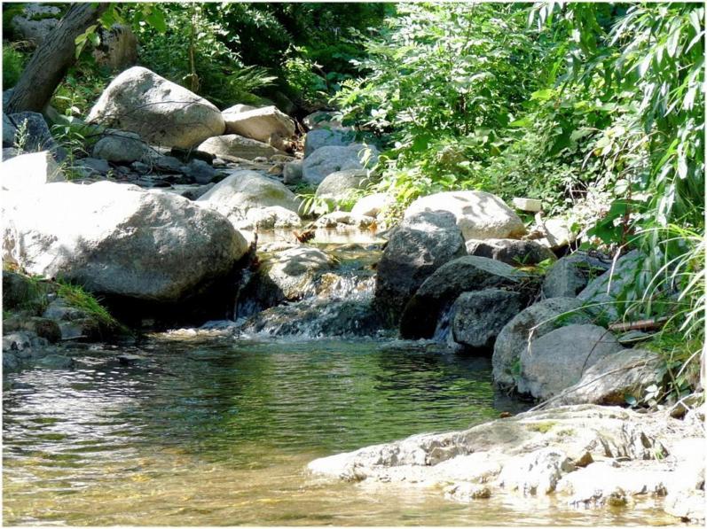 Gites En Cevennes "Chez Steloune" Genolhac ภายนอก รูปภาพ