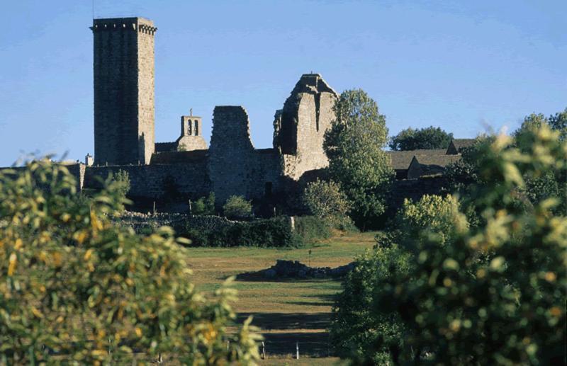 Gites En Cevennes "Chez Steloune" Genolhac ภายนอก รูปภาพ