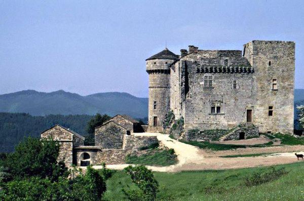 Gites En Cevennes "Chez Steloune" Genolhac ภายนอก รูปภาพ