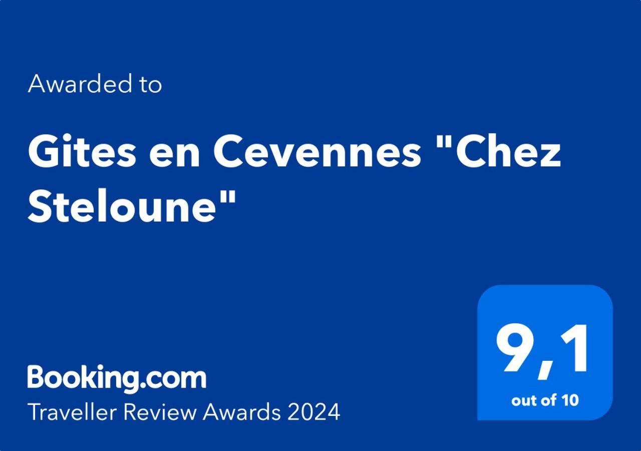 Gites En Cevennes "Chez Steloune" Genolhac ภายนอก รูปภาพ